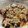 hiroro☆☆'s cooksnap of when they made 博多屋台の味★簡単★なすのチーズ焼き！.