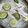 みそっぴ☆'s cooksnap of when they made すだちの冷たい麺.