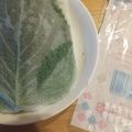 やっちーさん's cooksnap of when they made えごま保存方法！！10日後でもイキイキ★.