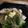 ぴんげ＠桜井浩司's cooksnap of when they made 鶏もも肉とブロッコリーのペペロンチーノ.