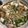 犬飼ってる's cooksnap of when they made 簡単！美味♪豚バラ白菜ごま味噌にんにく鍋.