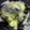mitochondria's cooksnap of when they made 和風もちグラタン.