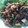 suzuhaha's cooksnap of when they made 豚肉と茄子とピーマンの舐麺醤炒め.