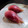 kookuro's cooksnap of when they made みょうがの甘酢漬け.
