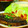腹の上のポニョポニョ's cooksnap of when they made 旨味がぎゅ～っと♡なすのはさみ煮.