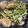 クックK3DI0Y's cooksnap of when they made 簡単！かぶの挽肉トロトロあんかけ.