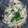 kanon0208's cooksnap of when they made 簡単☆さっぱりきのこのマリネ☆.