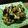 ちべターリー's cooksnap of when they made 海苔入り〜☆きのこのバター醤油炒め♪.