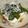 toshiebaba's cooksnap of when they made 冷や奴に！薬味爆弾!?.