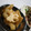 yuri＠まま's cooksnap of when they made たたき蓮根とめんつゆにんにく炒め.