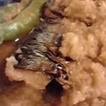 平野モコ's cooksnap of when they made 少しさっぱりめなさば味噌煮.