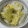 やしゅう's cooksnap of when they made 白菜丸ごとﾚﾝｼﾞ蒸し･わさびを添えて.