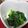 あたまぽん's cooksnap of when they made 小松菜のおひたし.