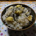 マカマカロン's cooksnap of when they made 栗おこわ.