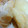 熊人すみこ's cooksnap of when they made 筍と新じゃがと油揚げのどっさり煮♪.