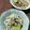 チャーミル's cooksnap of when they made 爽やかだれの香味ぶっかけうどん.