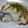 まー坊（・＿・）'s cooksnap of when they made 鱈のとろろ蒸し.