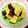 ★しょーこ★'s cooksnap of when they made お弁当に♪さつまいものハニーマスタード.