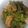 あぽじー's cooksnap of when they made 芋のつる、うまうま佃煮風.