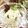 xxxBEBExxx's cooksnap of when they made ☆パリパリチョコアイス☆.