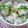 タカシィ's cooksnap of when they made 白身のにゅるっとしない☆卵かけご飯.