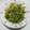 pucyipan's cooksnap of when they made 簡単☆もやしと豆苗炒め.
