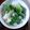 audreymaki's cooksnap of when they made 白菜の柚子風味・和サラダ♪.