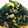 nanatom88's cooksnap of when they made 豚こま肉とほうれん草の卵とじ.
