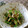 にゃんた１０４'s cooksnap of when they made 簡単！舞茸炒め.