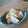 ぷんみつむつ's cooksnap of when they made 油揚げとかぶの煮もの.