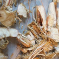 だんぷの嫁's cooksnap of when they made 捨てないで☆海老の殻！！.