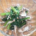 Raiｒeo's cooksnap of when they made 舞茸と小松菜のお浸し.