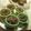 miyuki12's cooksnap of when they made ★緑茶と小豆と栗ペーストの水羊羹★.