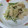 жゆきにゃж's cooksnap of when they made きゅうりともやしの胡麻マヨ和え！.