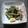 マロミ0927's cooksnap of when they made 卵とほうれん草のバター醤油炒め♪.