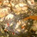 terra-sun's cooksnap of when they made とろんと美味しい　もずくキムチの卵とじ.