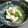 ＴＯＭＯＷＡＴ's cooksnap of when they made 蕪と蕪の葉の辛子和え.
