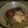 Jock's cooksnap of when they made エンサイ(空芯菜)の煮物.