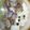 saki1010's cooksnap of when they made 松茸味✿簡単❀ヘルシー✿浅蜊＆豆腐１人鍋.