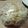 べにばな娘's cooksnap of when they made たっぷりキャベツのパン.