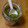 eri56's cooksnap of when they made ミキサーで簡単本格ジェノベーゼソース.