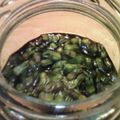 なにぬねにょろん's cooksnap of when they made しその実の醤油漬け～♪.