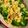 ☆さぶ☆☆'s cooksnap of when they made ブロッコリーとツナマヨコーンのチーズ焼き.