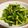 クックB3AQT8☆'s cooksnap of when they made 材料３つ！菜の花の塩こんぶごま油炒め.