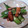 musasabict's cooksnap of when they made オクラのオイマヨ炒め✿.