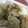 ラビリンス♪'s cooksnap of when they made おやき風♪野沢菜焼きおにぎり.