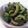 musasabict's cooksnap of when they made ゴーヤの炒め物.
