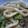 kino05's cooksnap of when they made 再現☆お家で簡単に日清焼きうどん.