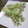 こずっぺ's cooksnap of when they made ナスのしそチーズ挟み揚げとしその実天ぷら.