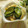 miyuki12's cooksnap of when they made きゅうりのみそ漬け.